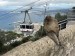 Gibraltar - lanovka na místní skálu s opičí asistencí
